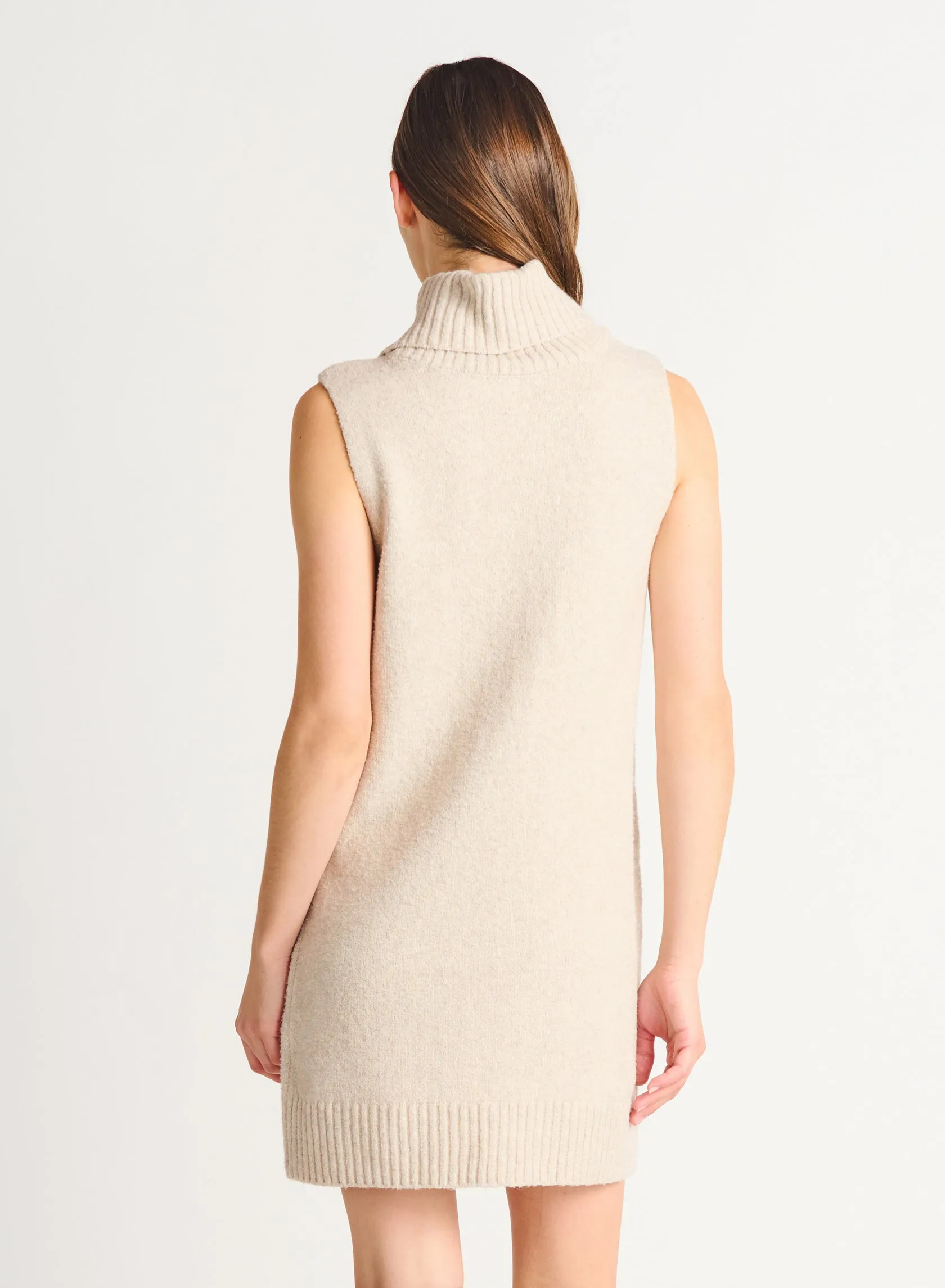 Dex Riley Sleeveless Turtleneck Dress