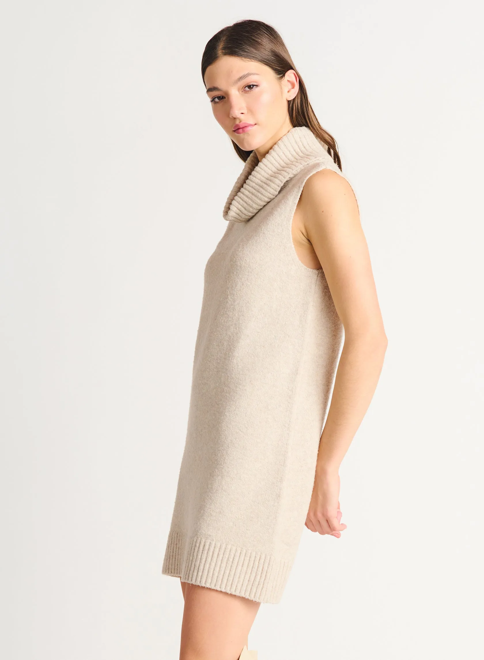 Dex Riley Sleeveless Turtleneck Dress