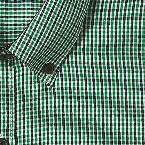 Excalibur Men's Formal Shirt (8907542607365_400016538212_40_Green)