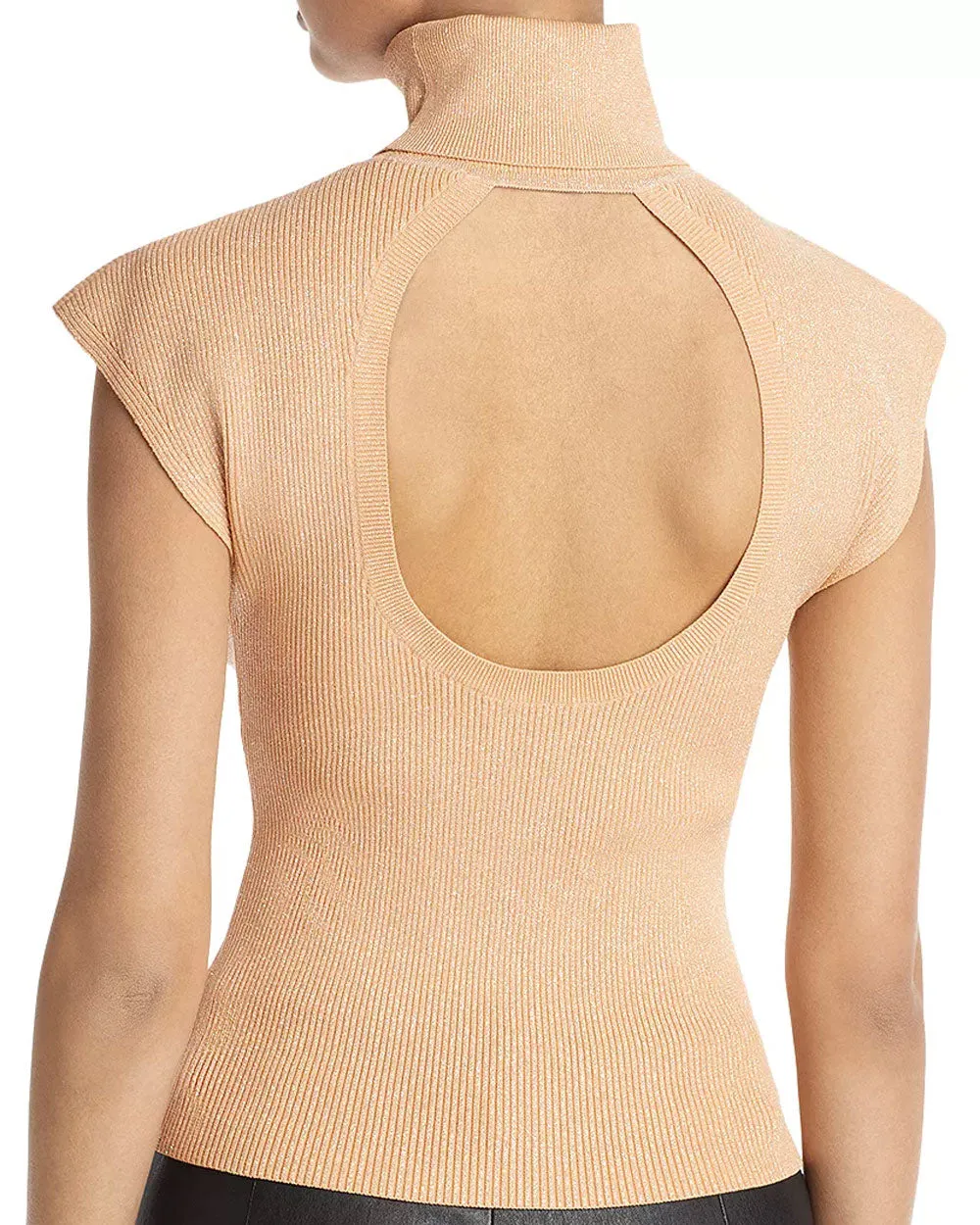 Jasper Silver Sleeveless Amara Turtleneck