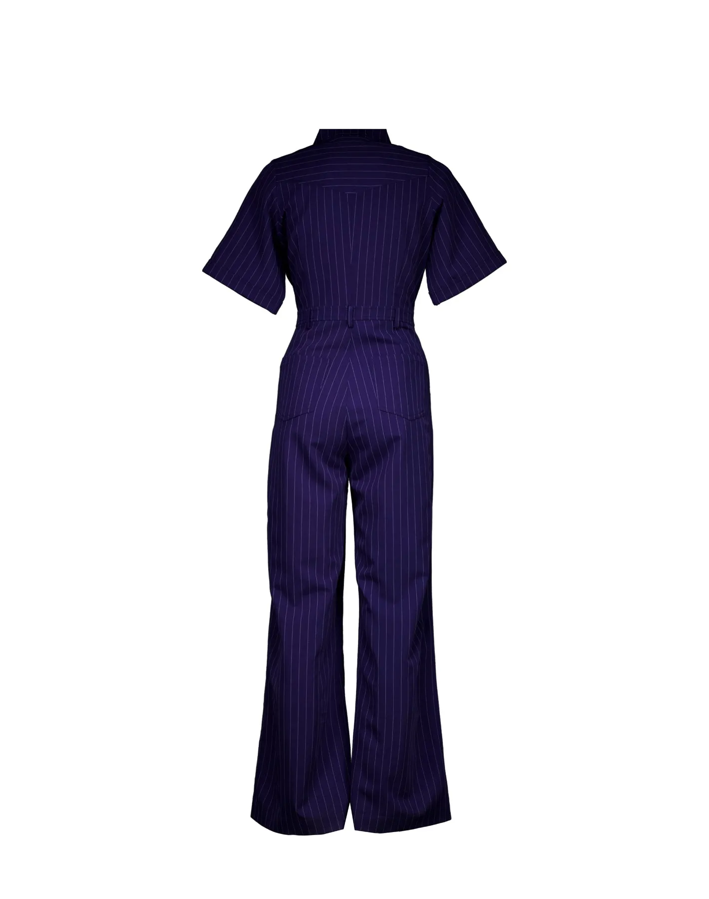 Pivot Pinstripe Jumpsuit